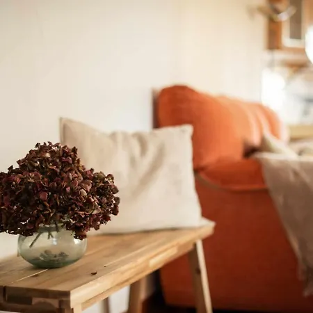 La Encina De - Terraza, Vistas Y Llanes 판카르